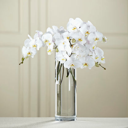 White Phalaenopsis Bouquet –  Just Bloom, Elk Grove CA